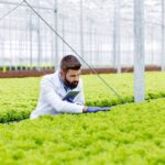 Aquaponics and Hydroponics: Personal Loans Fueling Modern Agricultural Advancements