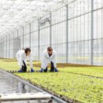 Aquaponics and Hydroponics: Personal Loans for Modern Agriculture