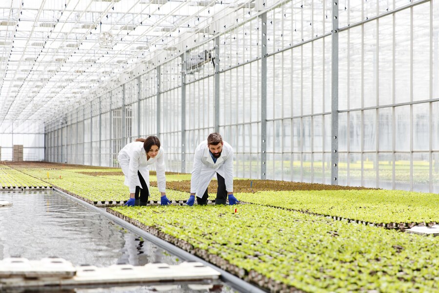 Aquaponics and Hydroponics: Personal Loans for Modern Agriculture