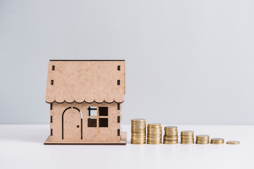 Settle Loan Plan to Resolve Loan Settlement Without Borrowing Again