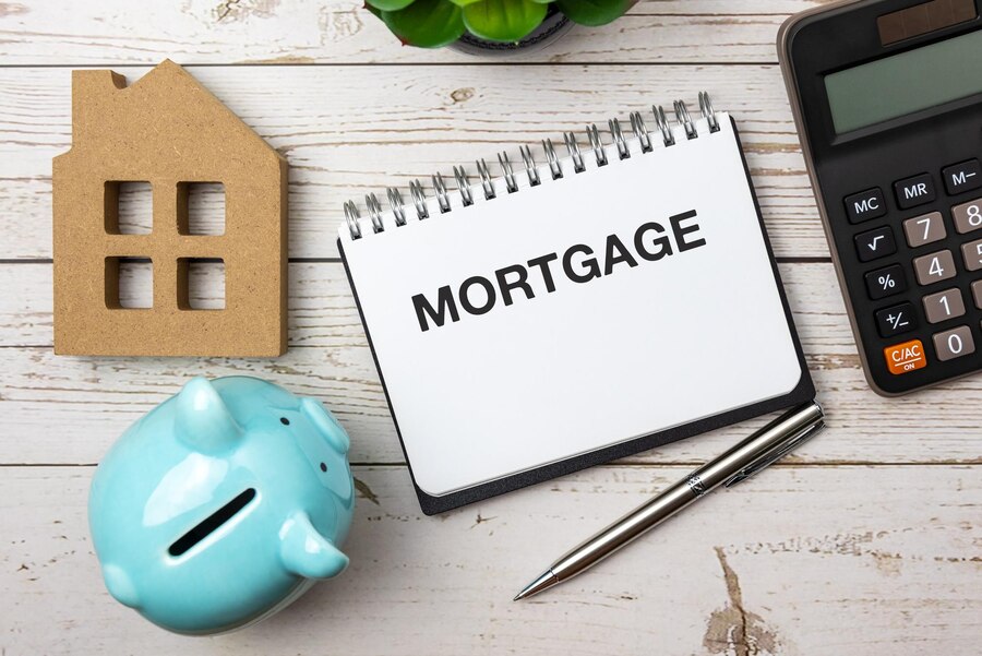 Settle Loan System for Complete Debt Resolution